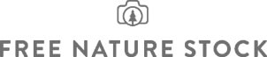 Free nature stock logo